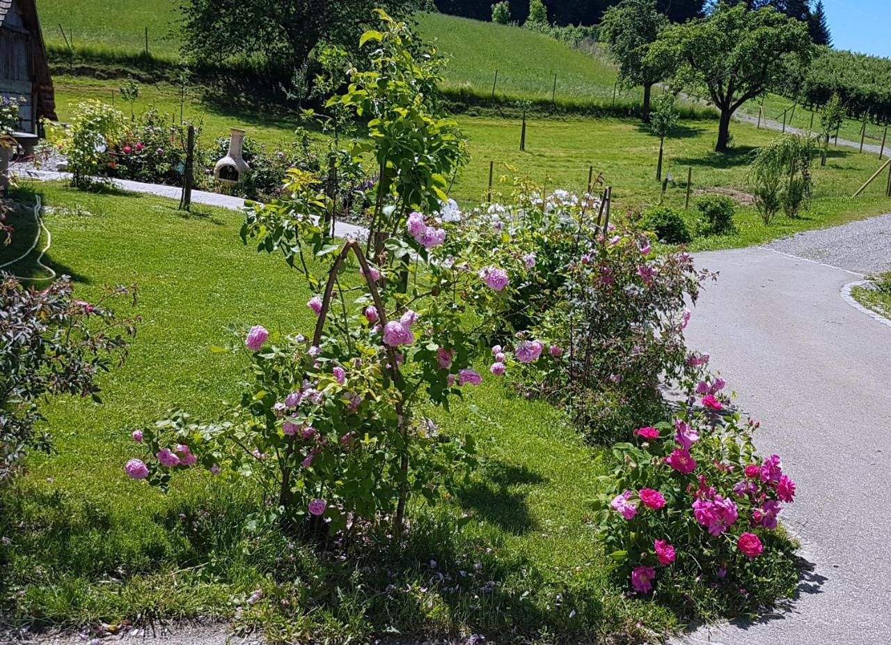 Landgut Apfelrose Hotel FDH Kültér fotó