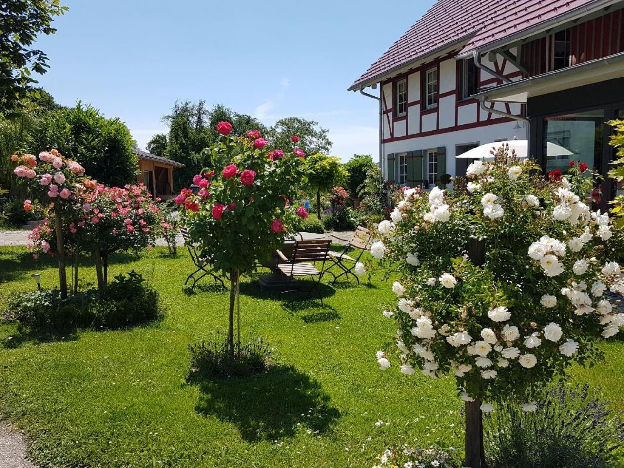 Landgut Apfelrose Hotel FDH Kültér fotó